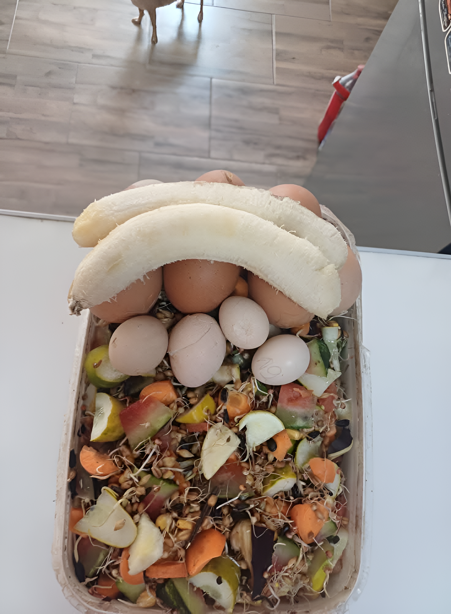 Parrot Training Tips